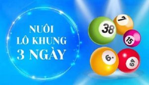 Tổng quan sơ bộ về nuôi lô khung