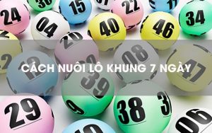 Nuôi khung lô đề 7 ngày tỷ lệ trúng cao nhưng vốn nhiều