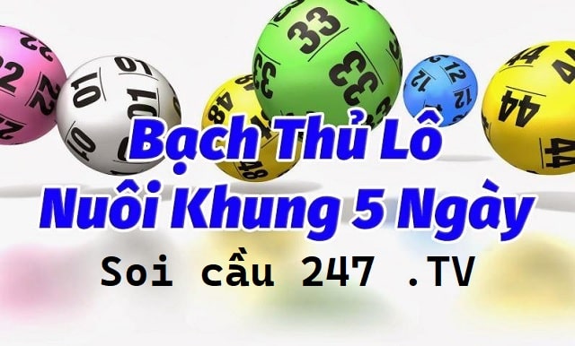 Bạch thủ lô nuôi khung 5 ngày bất bại chuẩn xác