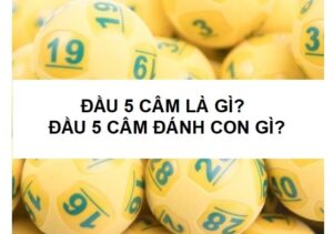 Các lô thủ đánh giá khá cao về tỷ lệ thắng khi đánh đầu 5 câm