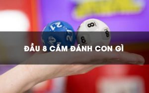 Tham khảo gợi ý soi cầu đầu 8 câm tại địa chỉ uy tín