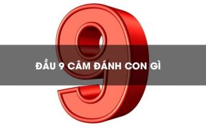 Việc dựa vào tìm lô đầu 9 có tỷ lệ thắng khá cao