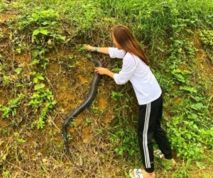 Chiêm bao thấy giết rắn vừa mới bắt báo hiệu điều không tốt sắp đến với bạn