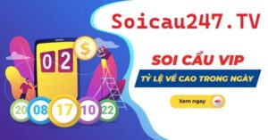 Soicaulovip là một trong những chuyên trang soi cầu uy tín trên thị trường