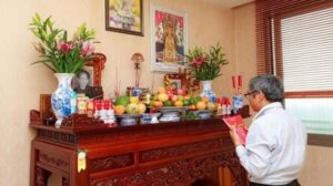 Để cây phong thủy trong nhà để cầu may mắn