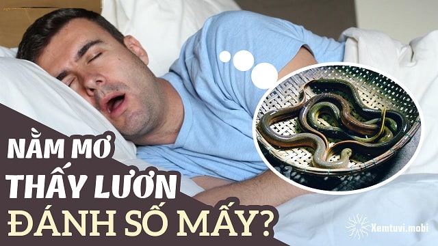 Mơ thấy lươn đánh con gì? giải mã gặp lươn là điềm tốt hay xấu?