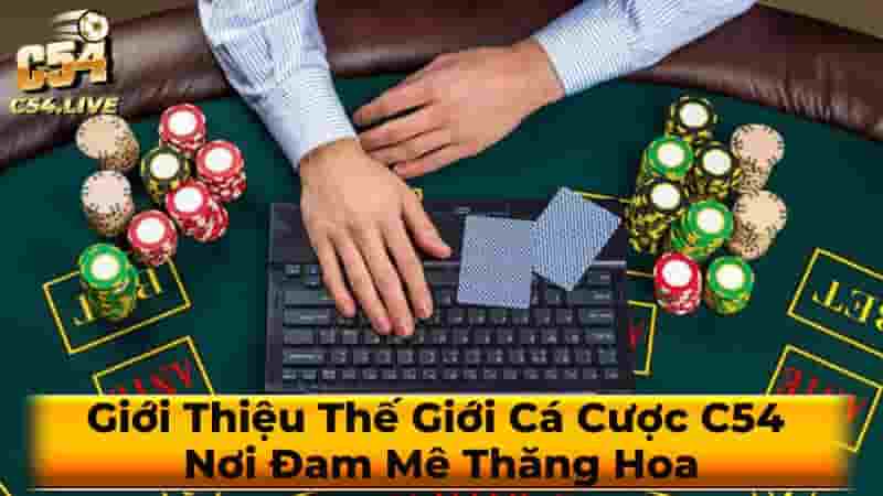 Trải Nghiệm Cá Cược Tuyệt Vời Tại C54