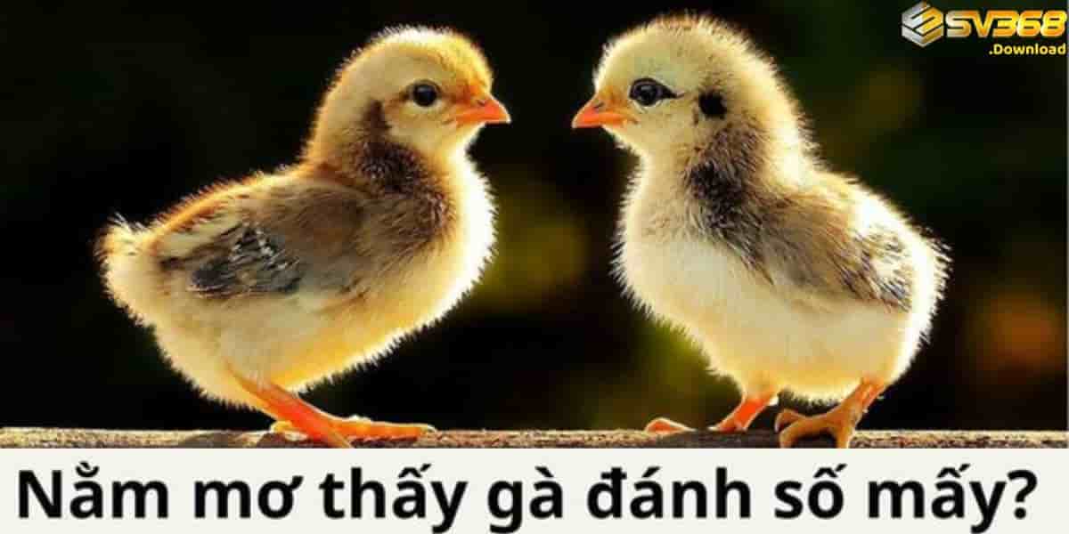 Cá cược lô đề ở đâu uy tín?