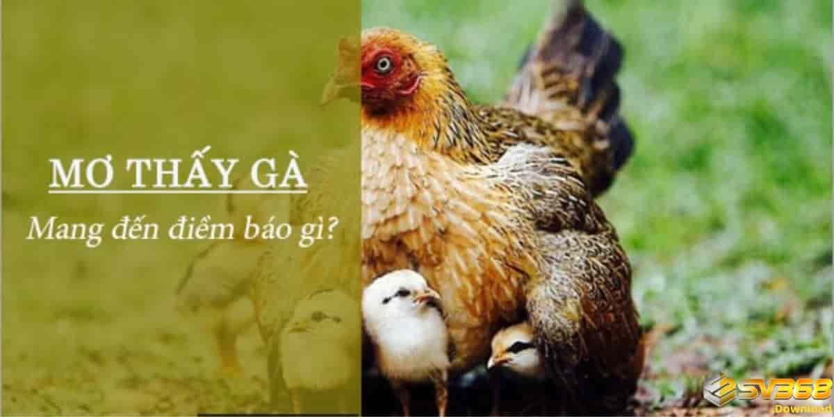 Nằm mơ thấy gà điềm gì?