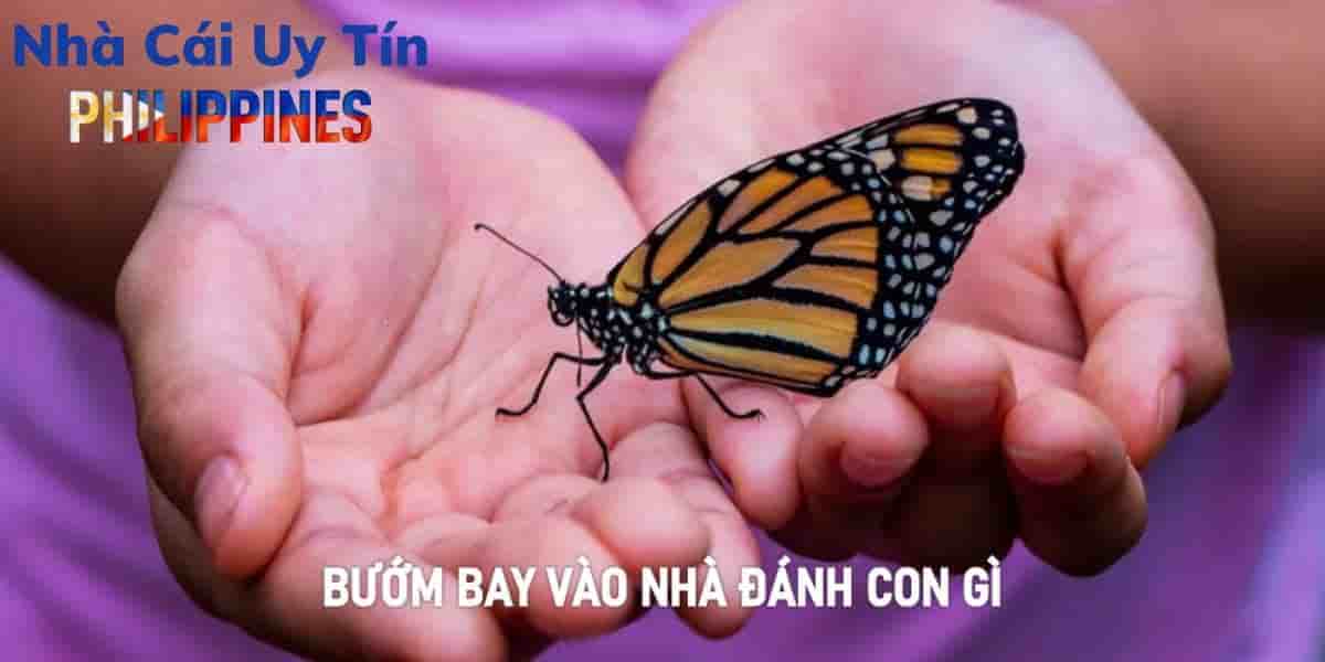 Bướm bay vào nhà đánh con gì dễ trúng lớn