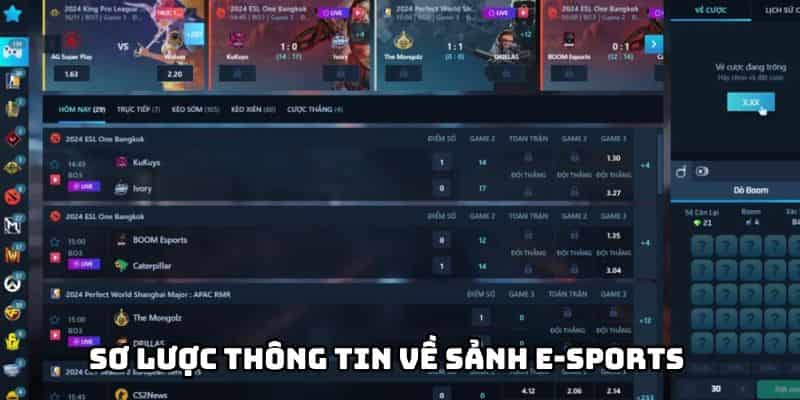 Áp dụng những chia sẻ từ nhà cái để cá cược hiệu quả hơn