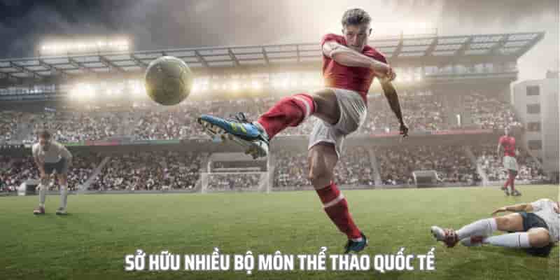 CMD Sports là một trong những đối tác hợp pháp của nhà cái này