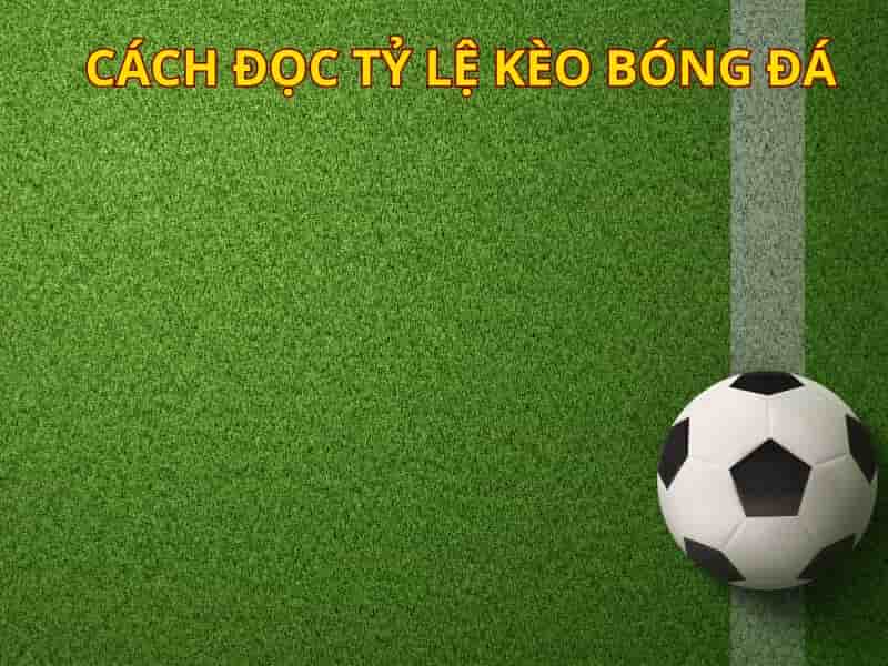 Tìm hiểu phong độ đội bóng
