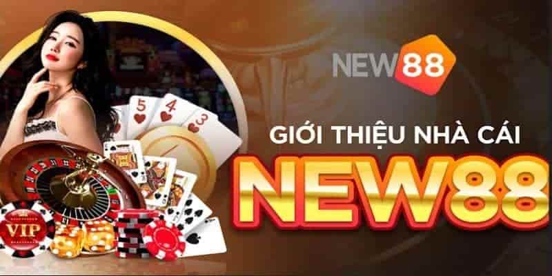 NEW88 – Nhà Cái Cá Cược Uy Tín Hàng Đầu