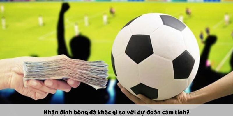 Tầm Quan Trọng Của Lịch Thi Đấu Bóng Đá Trong Việc Cá Cược