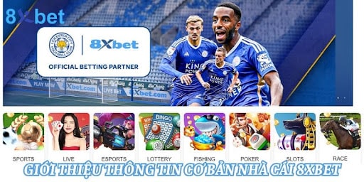 Điểm qua các chương trình ưu đãi siêu hời dành riêng cho hội viên 8 xbet