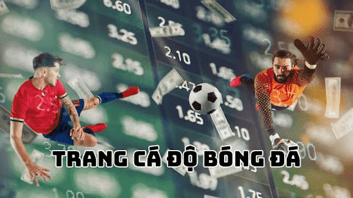 Giới thiệu chung về trang cá độ bóng đá