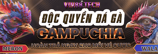 Giới thiệu về nhà cái Vin88