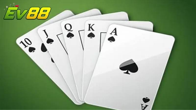 Giới thiệu những thông tin cơ bản EV88