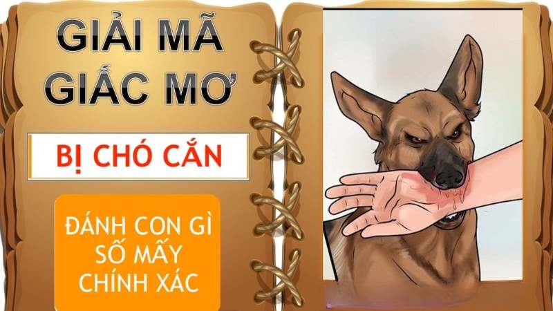 Chọn số lô đẹp khi mơ thấy chó cắn mình
