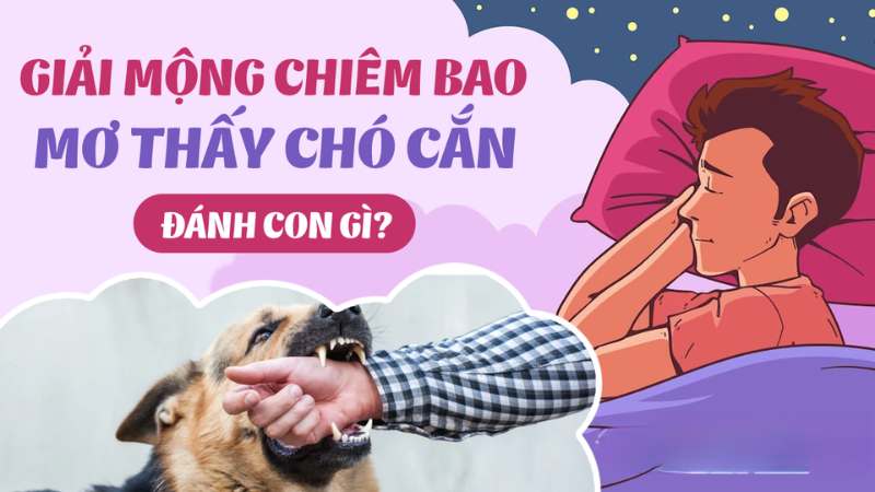 Mơ thấy bị chó đen cắn liên quan đến tiền bạc