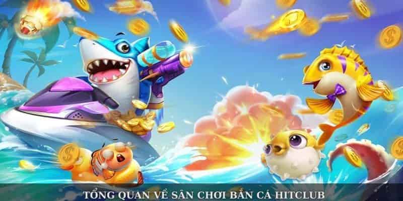Quan sát kỹ trước khi bắn
