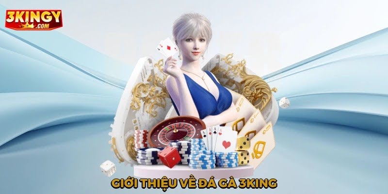 Giới thiệu về đá gà 3king